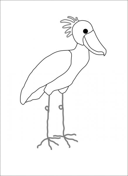 Pattern Greenbill & Co. Bodo Shoebill