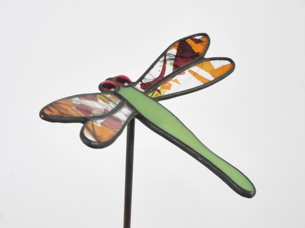 Designvorlage Grünschnabel & Co. Kleine Libelle