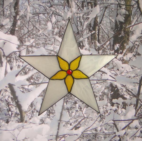 Pattern 10.0 Star 26cm / 10.2"
